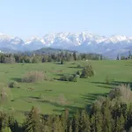 Leszczynianski 比利但耶克